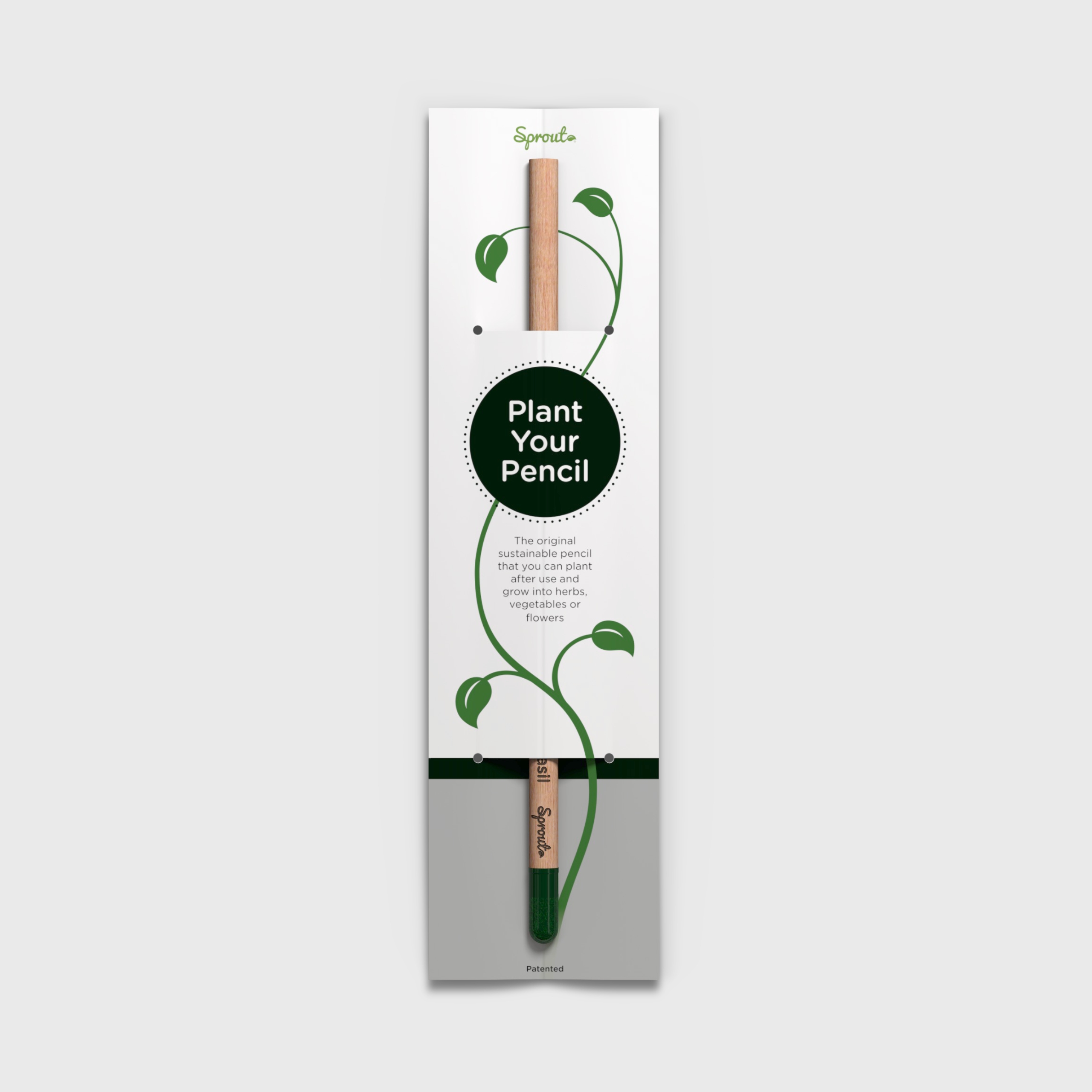 Sustainable Corporate Gifts Singapore SproutWorld Pencil Plantable