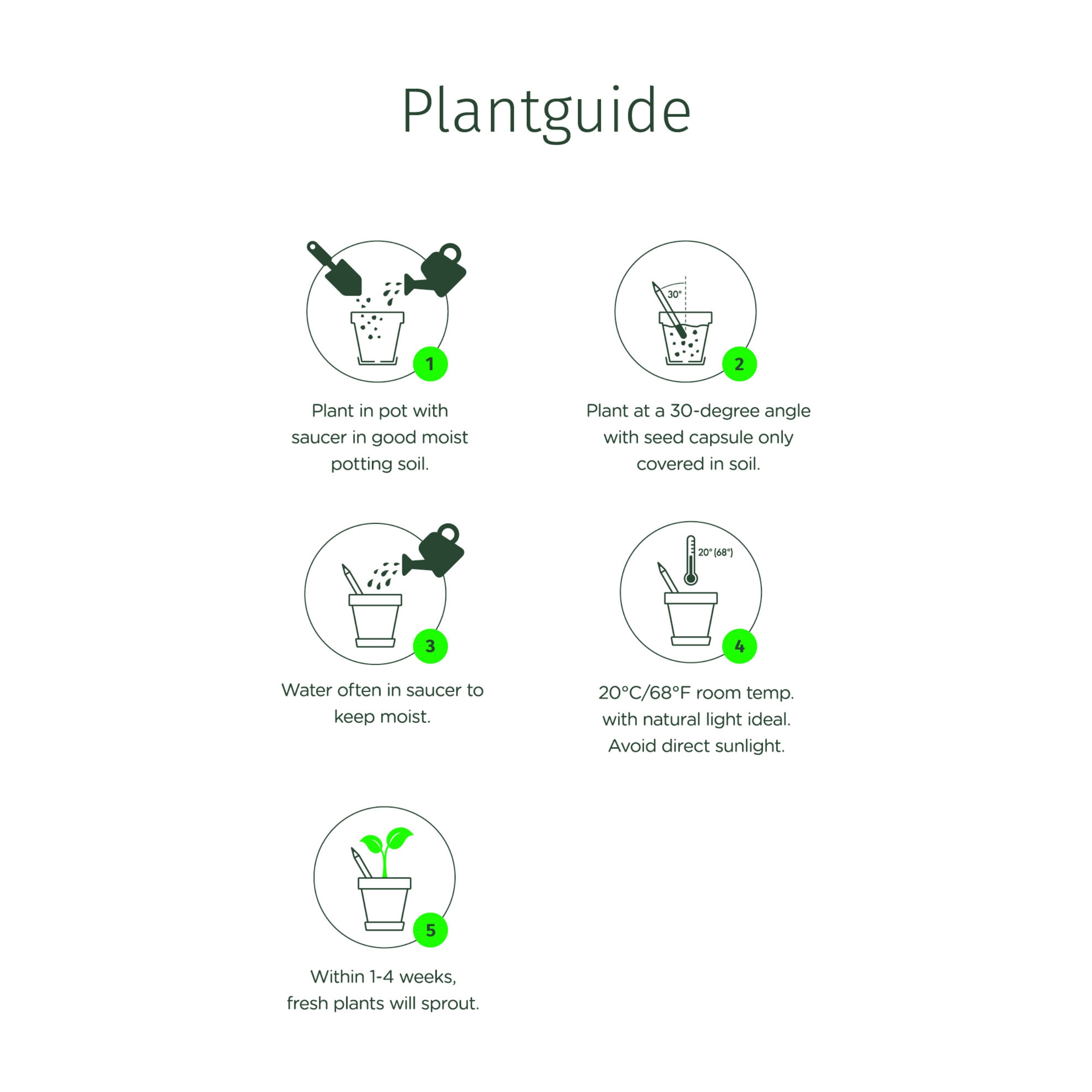 Sustainable Corporate Gifts Singapore SproutWorld Plantable Pencil How To