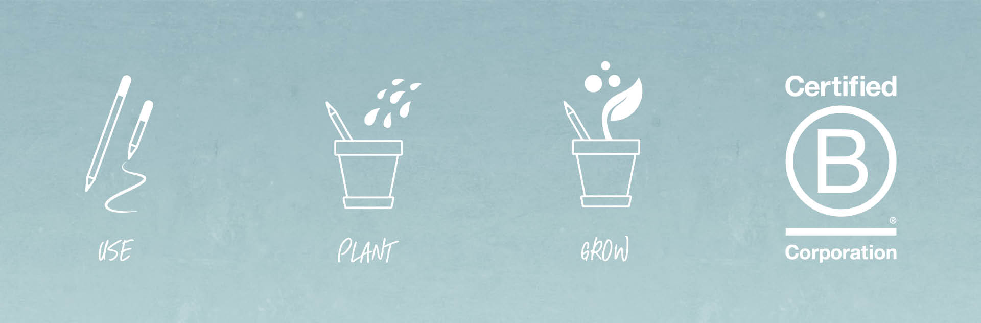 sproutworld plantable pencil singapore sustainable corporate gifts how to
